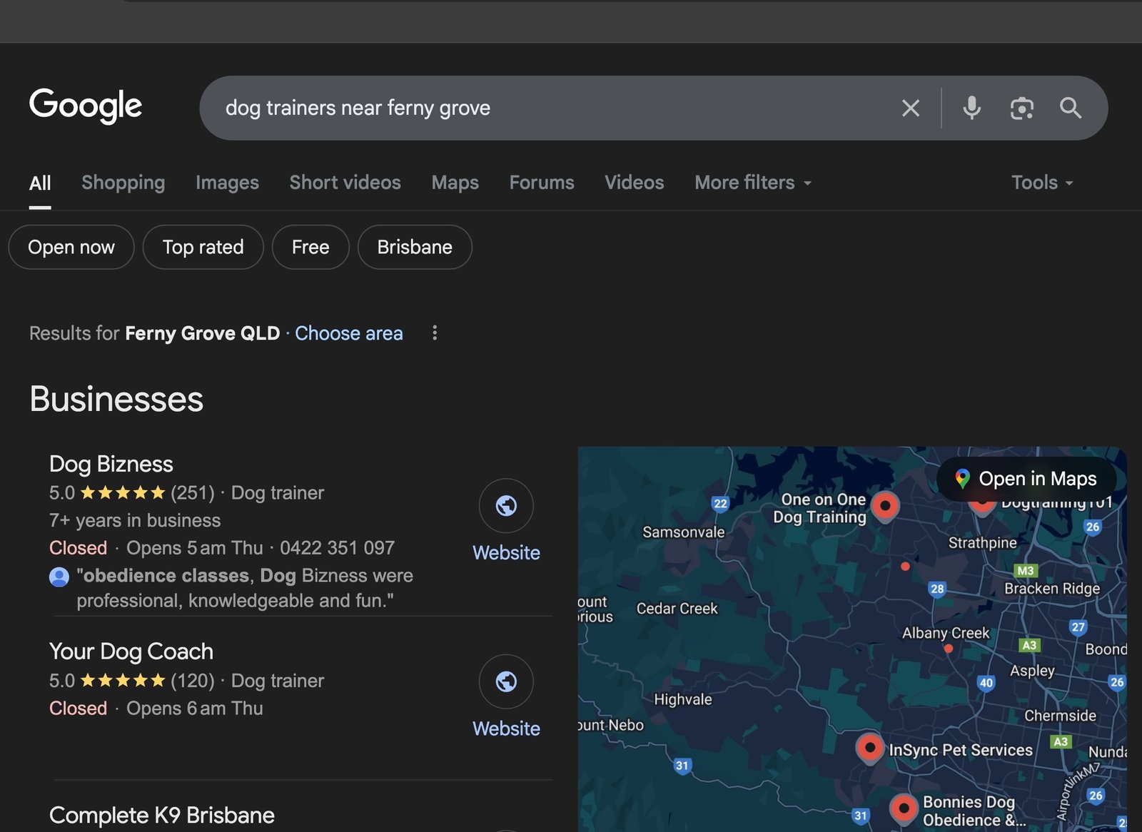 Client result: #1 Google ranking case study – Dogbizness